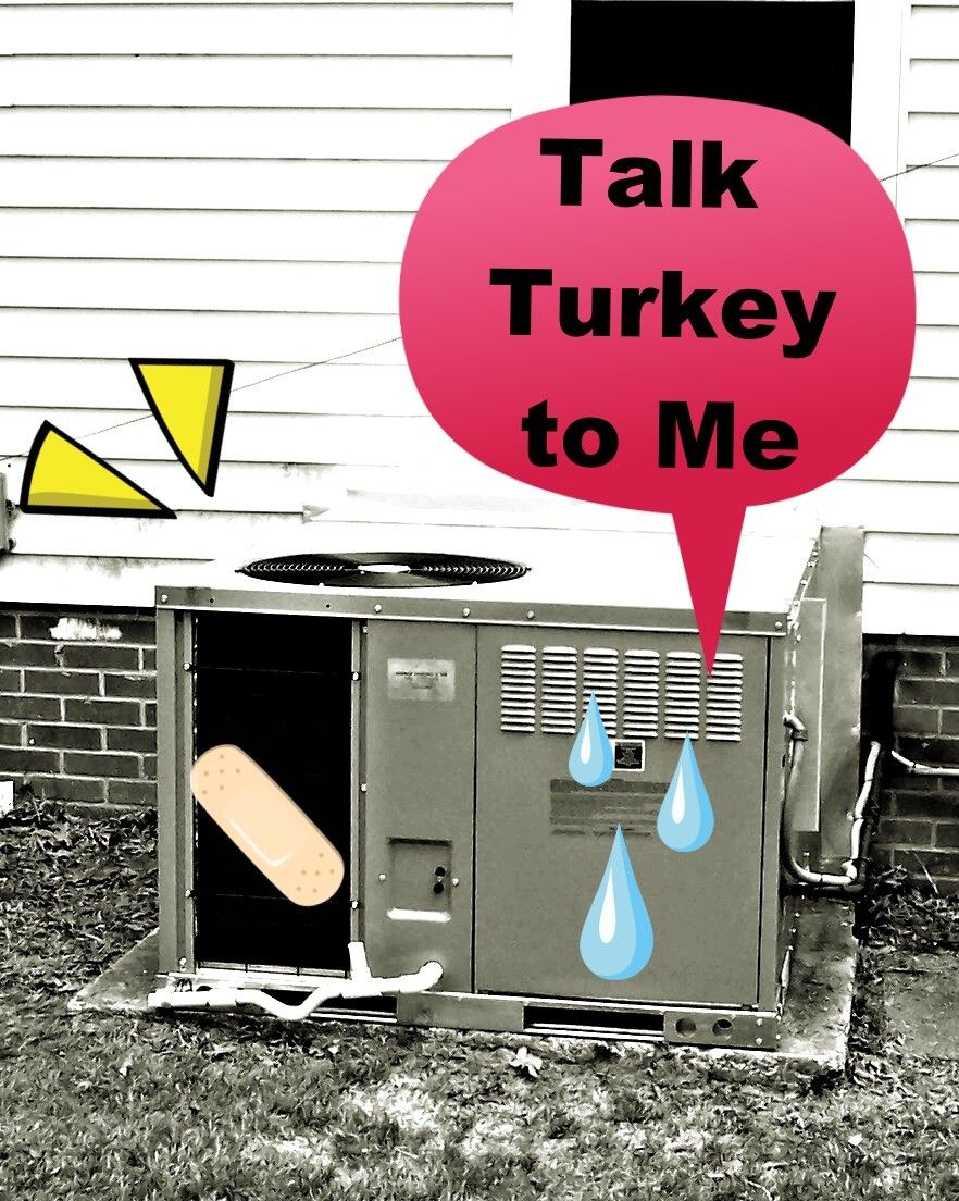 Let’s Talk Turkey